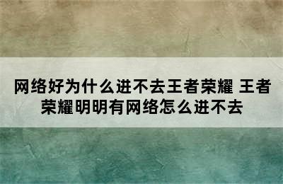 网络好为什么进不去王者荣耀 王者荣耀明明有网络怎么进不去